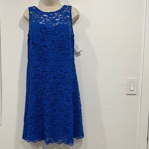 NWT! David's Bridal Royal Blue Lace Midi Dress